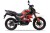 Мотоцикл турэндуро ROCKOT HOUND 250 LUX (оранжевый, ЭПТС)