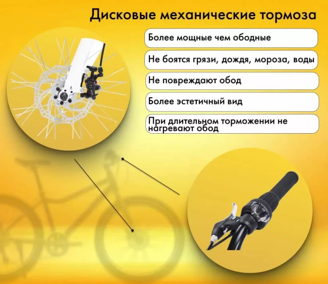 TIMETRY TT071 R24 TIMETRY TT071 R24