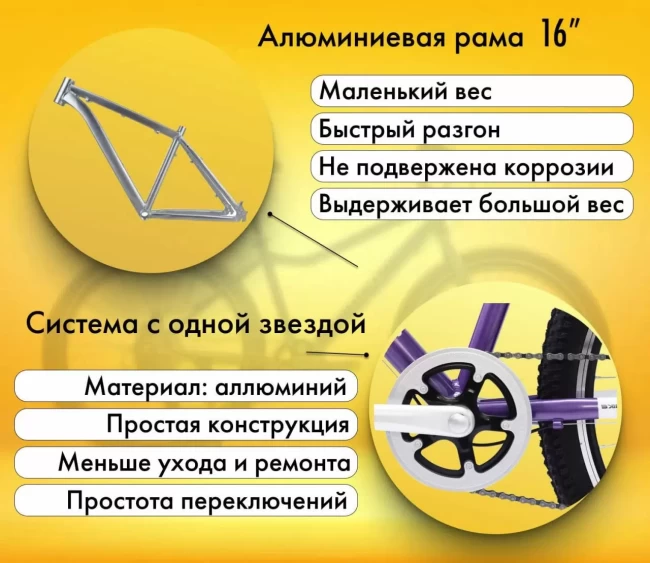 TIMETRY TT071 R24 TIMETRY TT071 R24