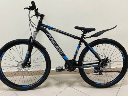 MDS T-SZ R29