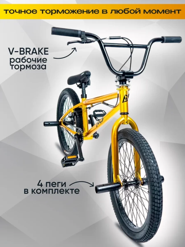 MD ZOO BMX R24