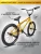 MD ZOO BMX R24