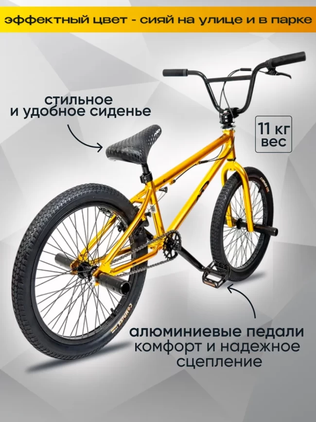 MD ZOO BMX R24