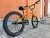 MD ZOO BMX R24