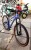 MDS 092 HONOR R29