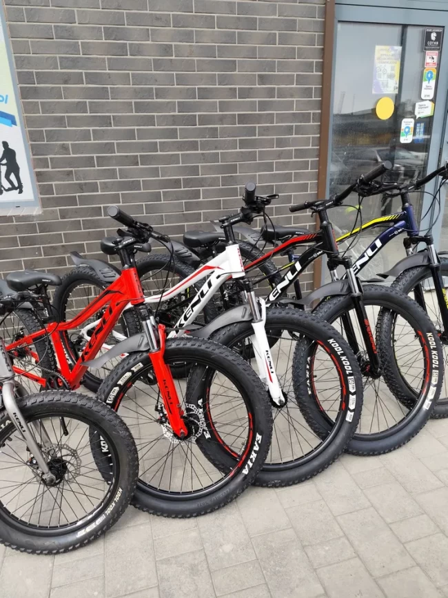 KENLI MT 27.5L 3.0 R27.5