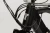 TIMETRY D903