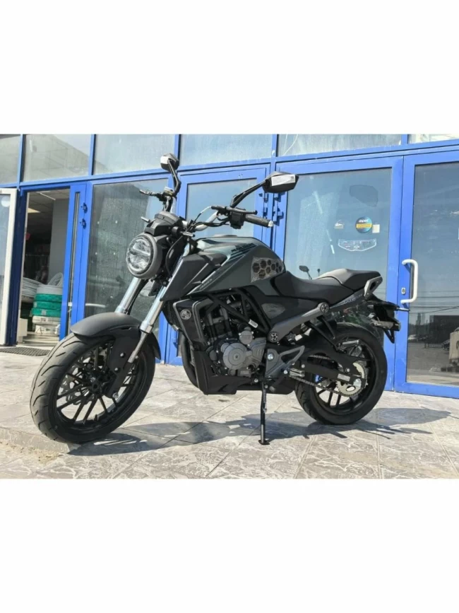 МОТОЦИКЛ  RACER RC250XZR-X Caiman зеленый