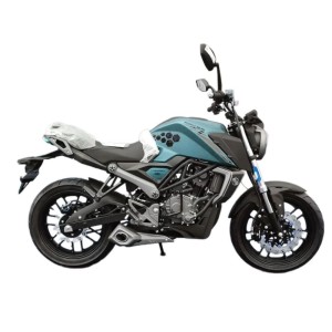 МОТОЦИКЛ  RACER RC250XZR-X Caiman зеленый