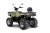 КВАДРОЦИКЛ ATV 250 литье
