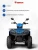 КВАДРОЦИКЛ ATV 250 литье