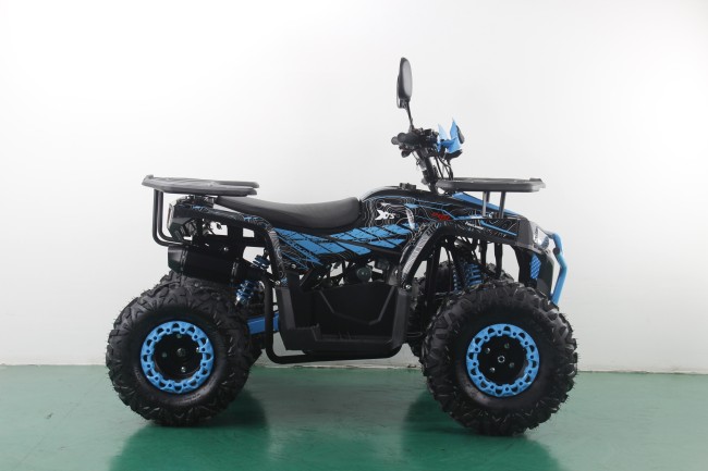 КВАДРОЦИКЛ FreeLander PRO 200 XTS C синий