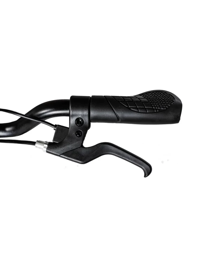 Электрический мотоцикл B-001