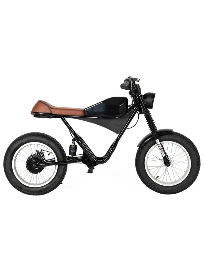 Электрический мотоцикл D-001