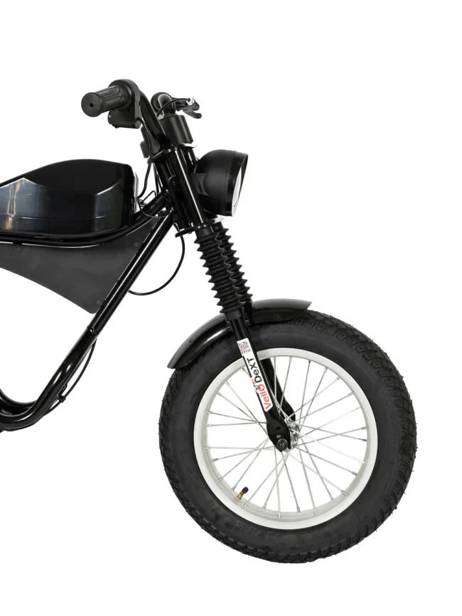 Электрический мотоцикл D-001