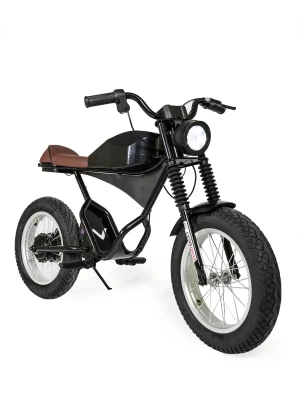 Электрический мотоцикл D-001