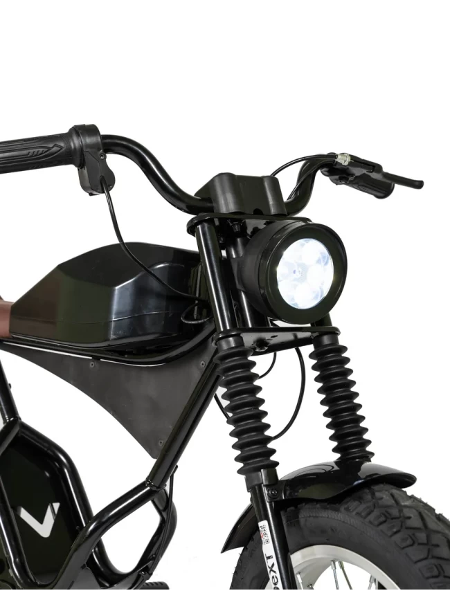 Электрический мотоцикл D-001