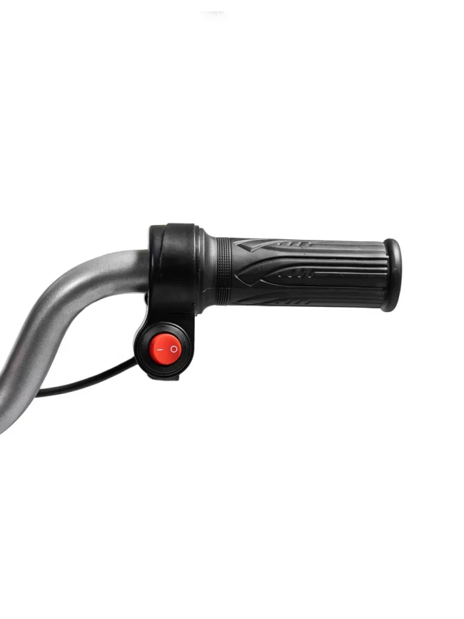 Электрический мотоцикл D-001