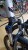 FOXSTER FT-3.2 R29