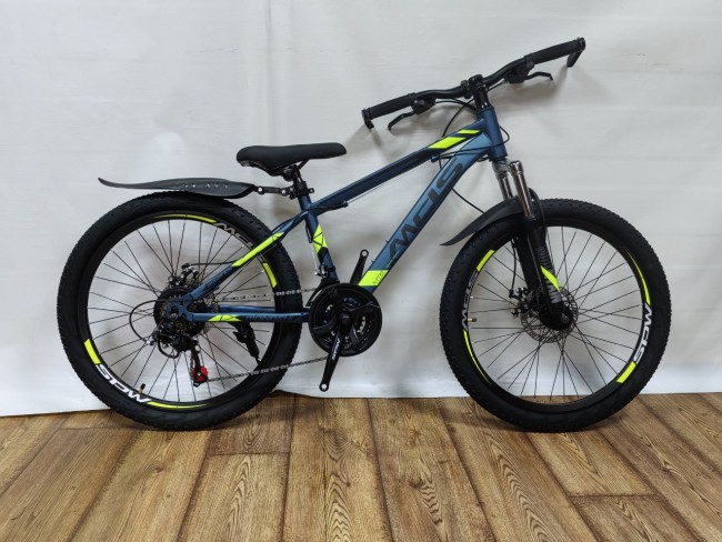 MDS 019 R24