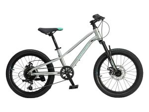 TIMETRY TT277 R20 (серебро)