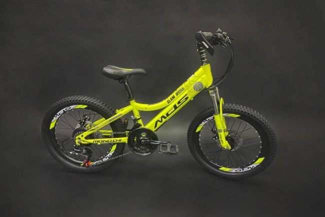MDS 001 R20