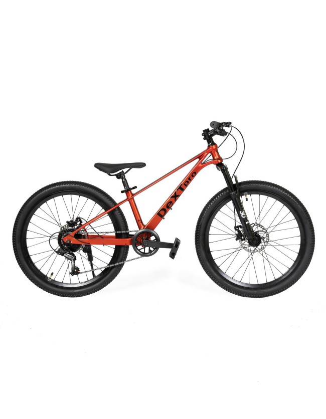 DeXTpro 12 R24 (красный)