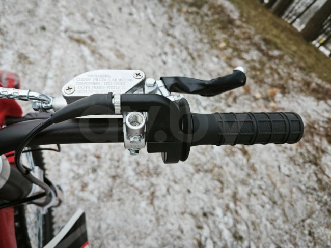 МОТОЦИКЛ КРОСС MOTOLAND XR 300 LITE красный (175FM) ПТС