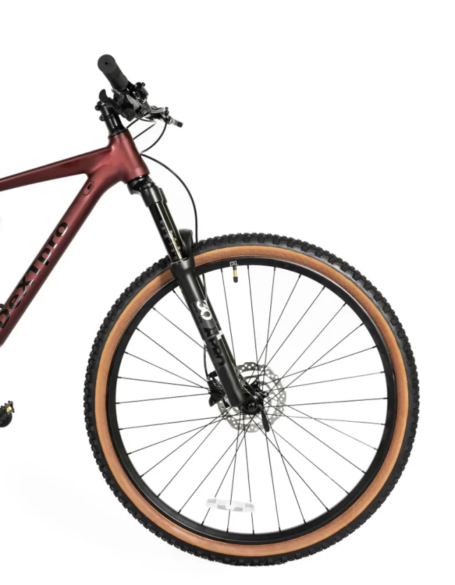 DeXTpro 10 R29 DeXTpro 10 R29