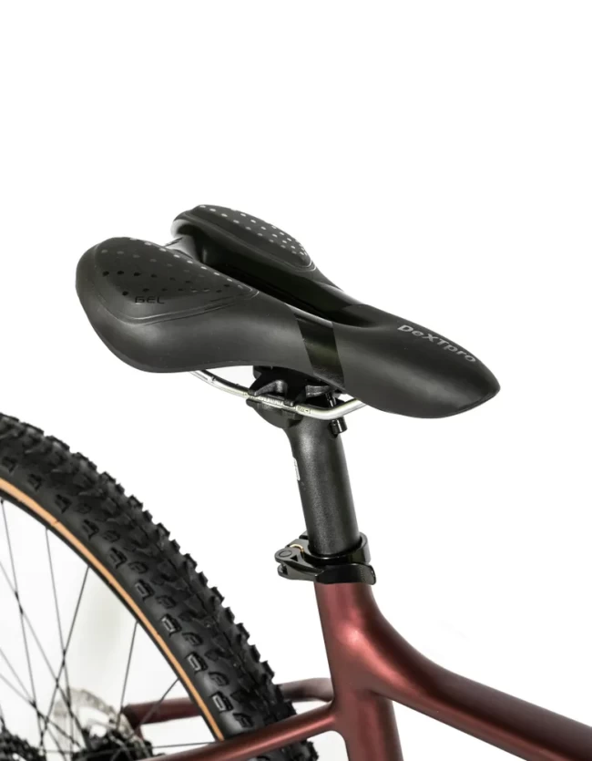 DeXTpro 10 R29 DeXTpro 10 R29