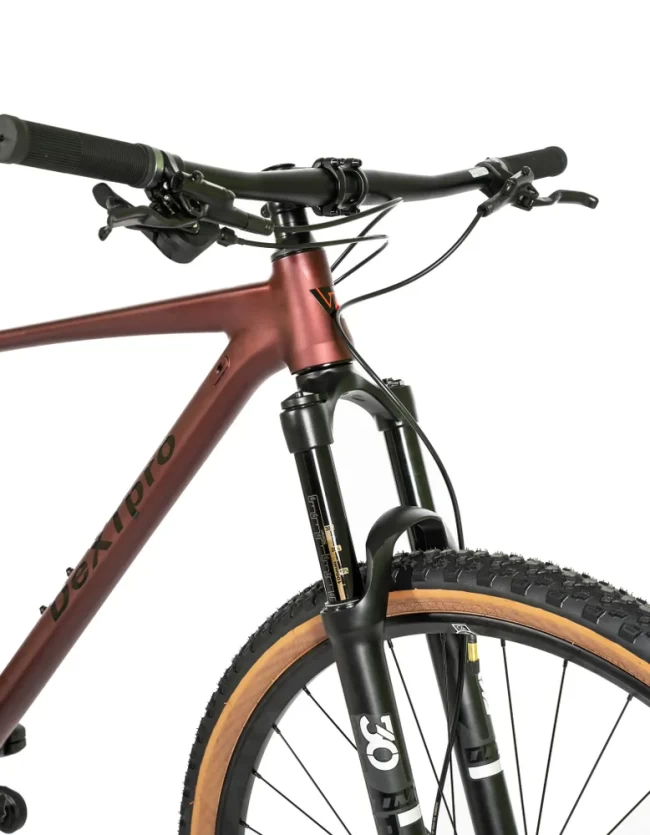 DeXTpro 10 R29 DeXTpro 10 R29