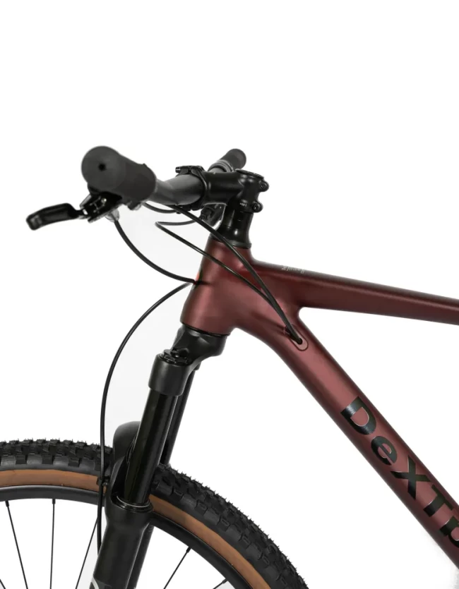 DeXTpro 10 R29 DeXTpro 10 R29