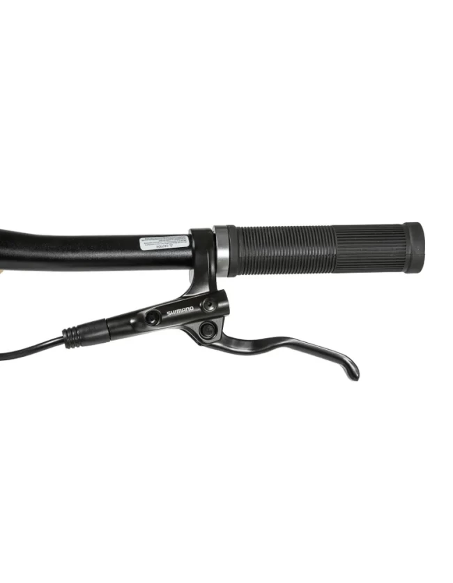 DeXTpro 10 R29 DeXTpro 10 R29