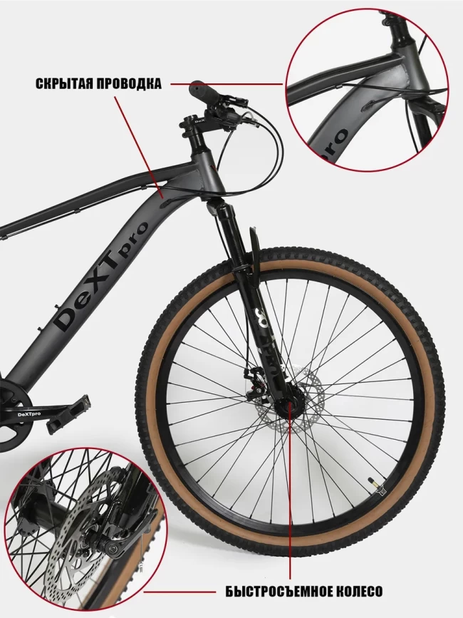 DEXTpro 001 R29 DEXTpro 001 R29