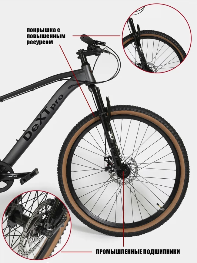 DEXTpro 001 R29 DEXTpro 001 R29