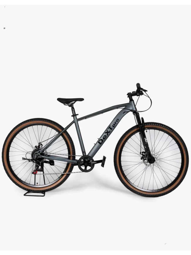 DEXTpro 001 R29 DEXTpro 001 R29