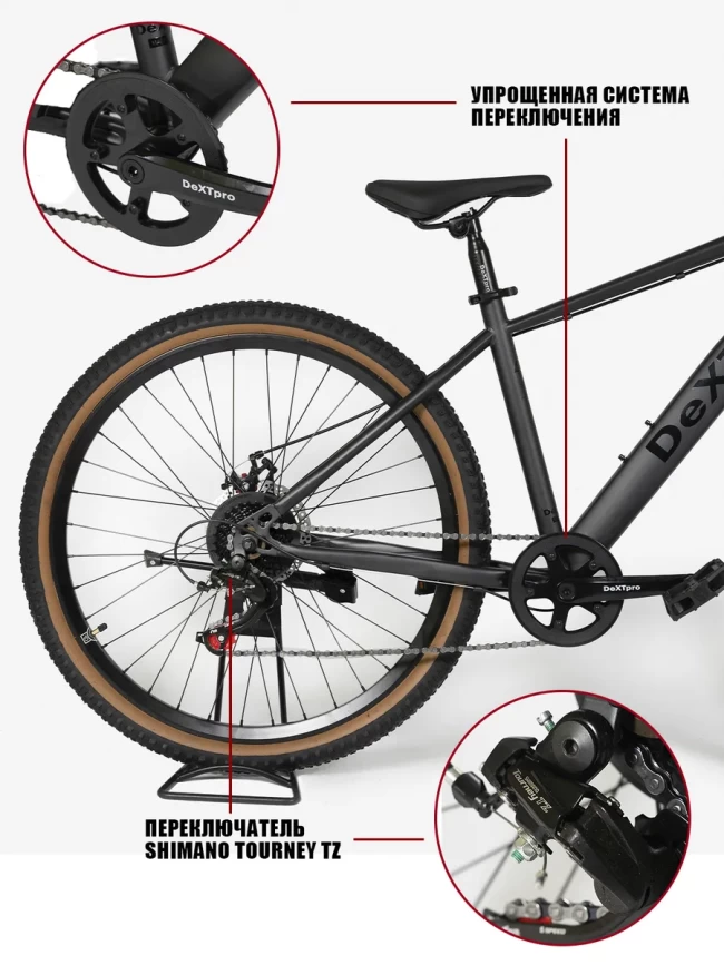 DEXTpro 001 R29 DEXTpro 001 R29