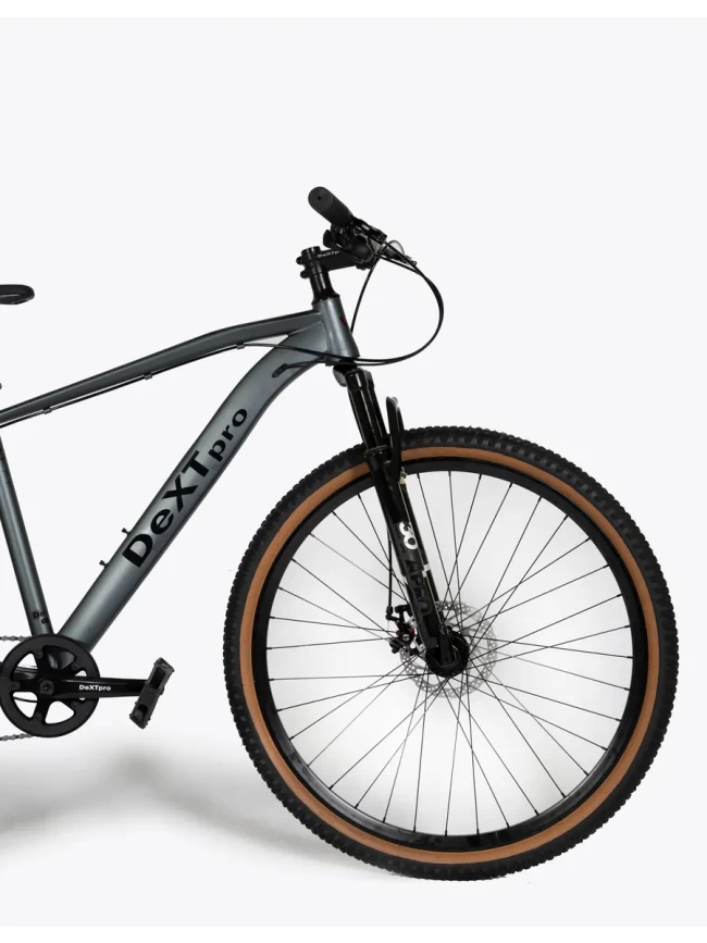 DEXTpro 001 R29 DEXTpro 001 R29