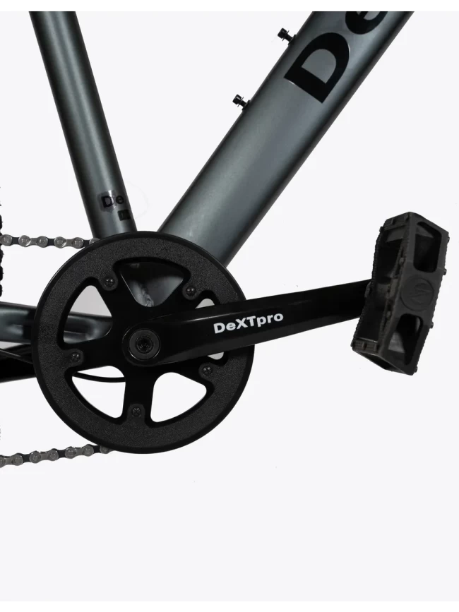 DEXTpro 001 R29 DEXTpro 001 R29