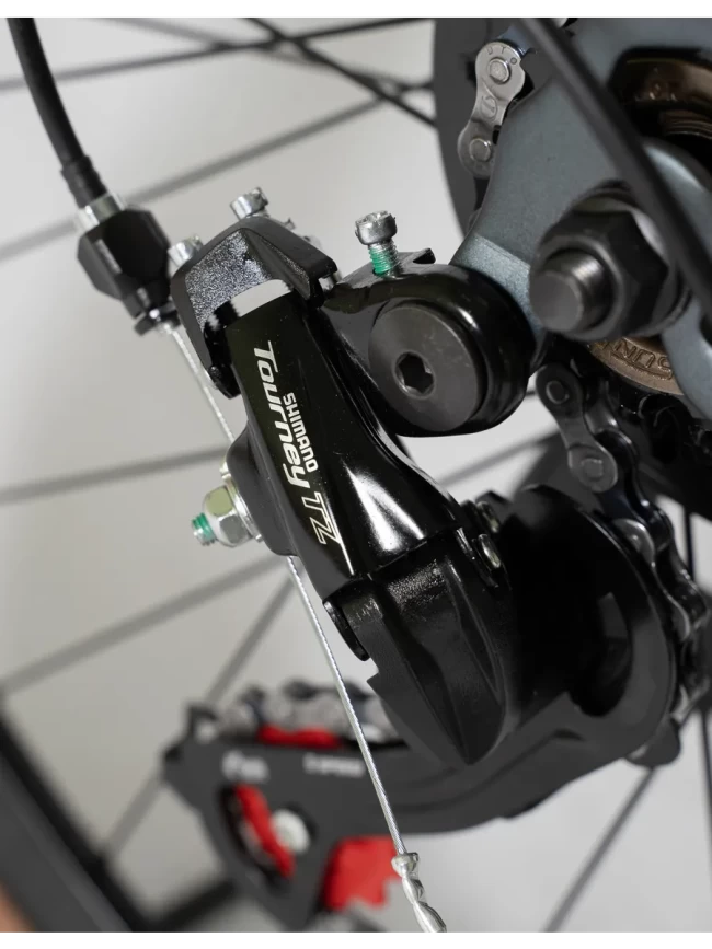 DEXTpro 001 R29 DEXTpro 001 R29