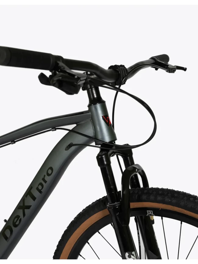 DEXTpro 001 R29 DEXTpro 001 R29