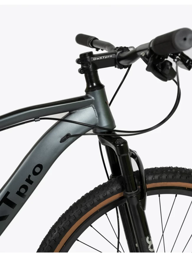 DEXTpro 001 R29 DEXTpro 001 R29