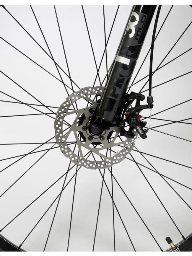 DEXTpro 001 R29 DEXTpro 001 R29