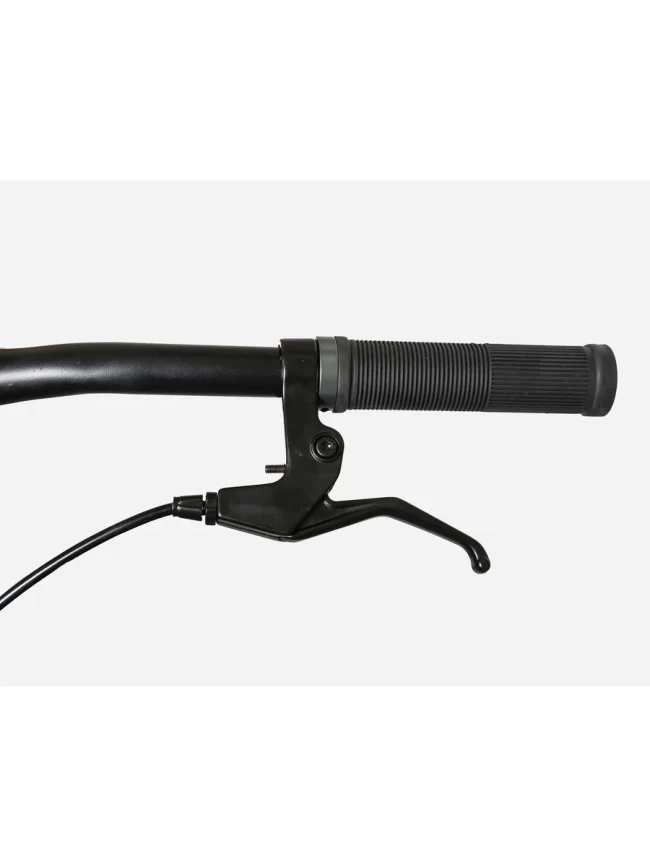 DEXTpro 001 R29 DEXTpro 001 R29