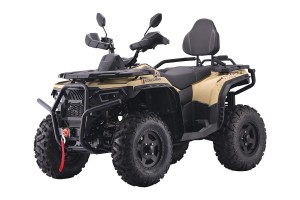 КВАДРОЦИКЛ 300 GT RACER MAX