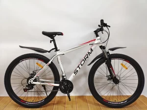 STORM ST-190 21 РАМА R29