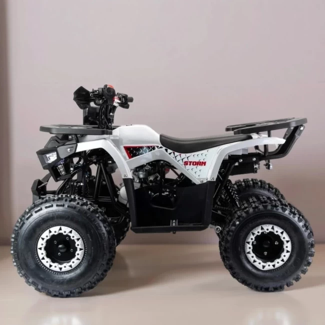 Квадроцикл MOTOLAND 125 STORM A