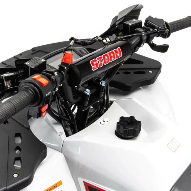 Квадроцикл MOTOLAND 125 STORM A