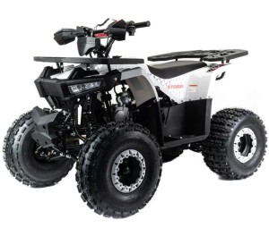 Квадроцикл MOTOLAND 125 STORM A
