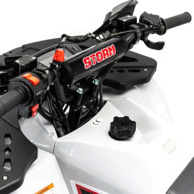 Квадроцикл MOTOLAND 125 STORM A